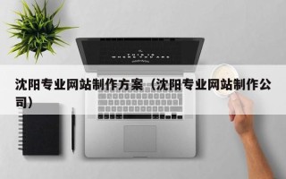 涿州沈阳专业网站制作方案（沈阳专业网站制作公司）